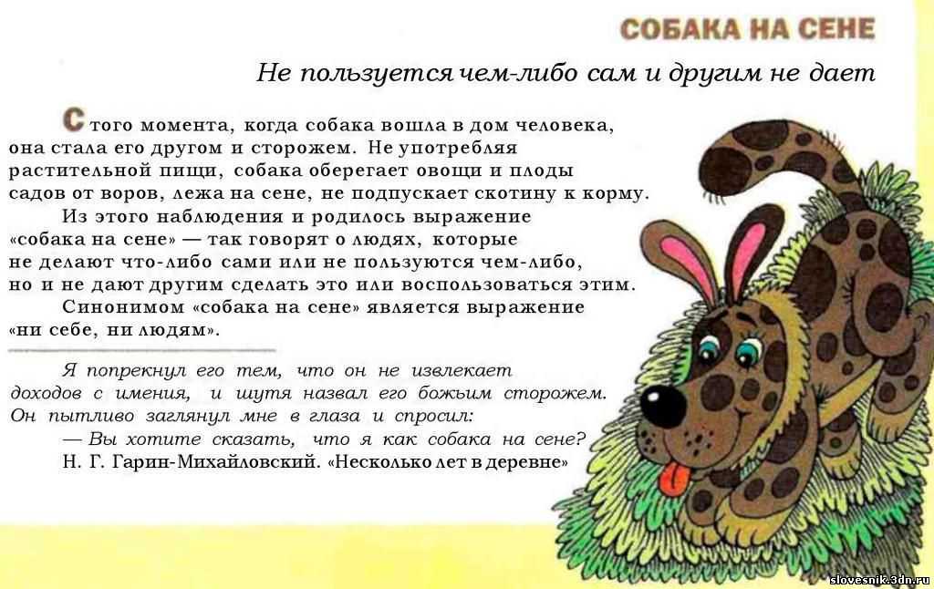 «собака на сене» - значение и происхождение фразеологизма