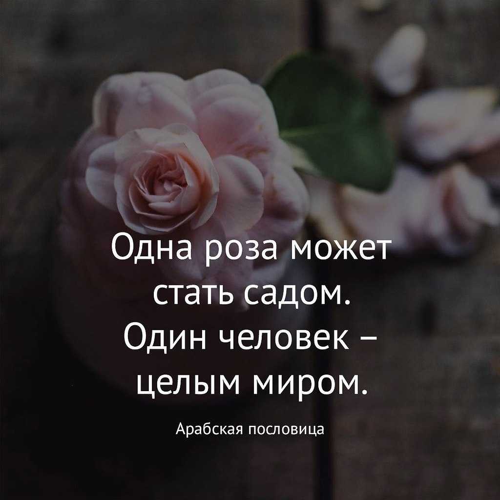 Цитаты и афоризмы про красоту