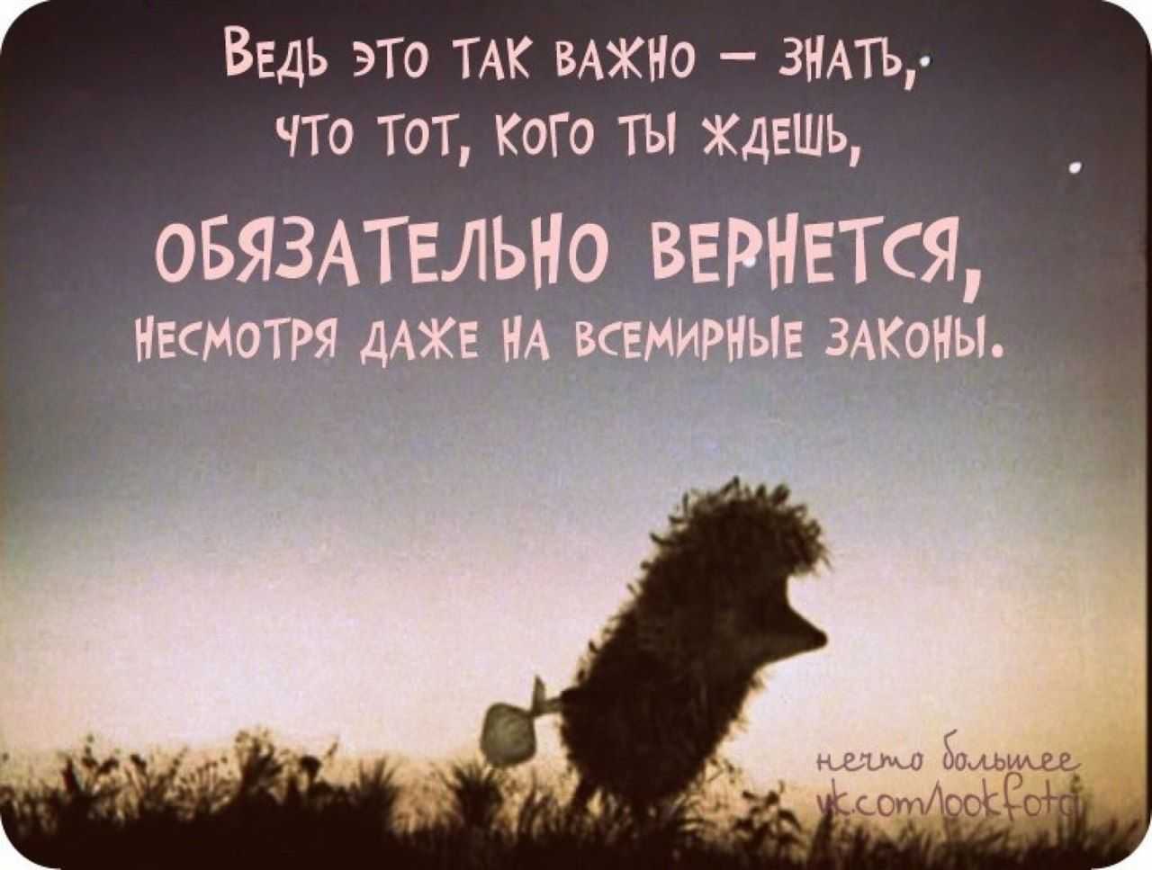«я буду возле тебя всегда». про ёжика и медвежонка