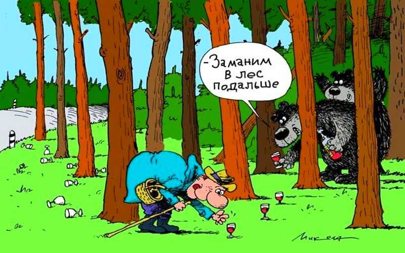 Шутки про зверей для взрослых. анекдоты про животных самые смешные