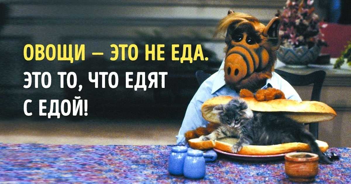Alf | sitcom вики | fandom