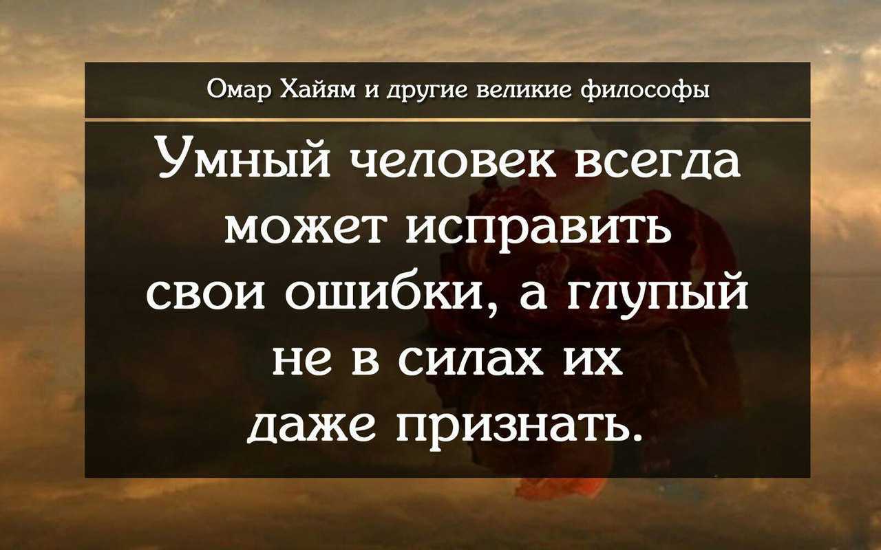 Цитаты из смешариков про жизнь со смыслом | лучшие афоризмы из смешариков про жизнь