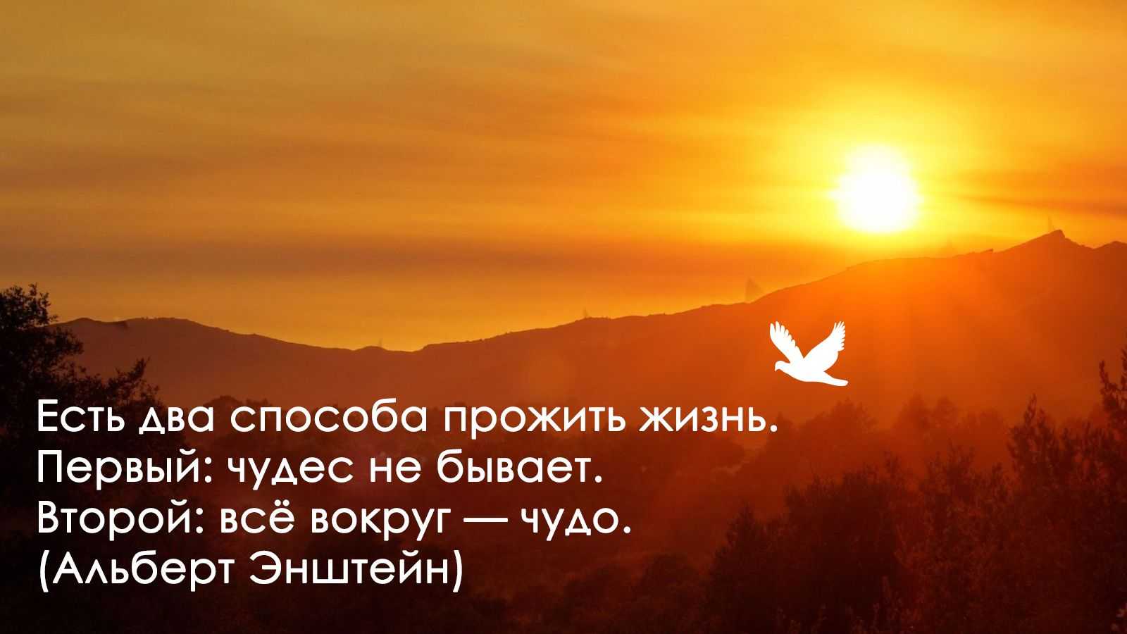 73 благодарности цитаты празднование жизни, любви и друзей - жизнь - 2023