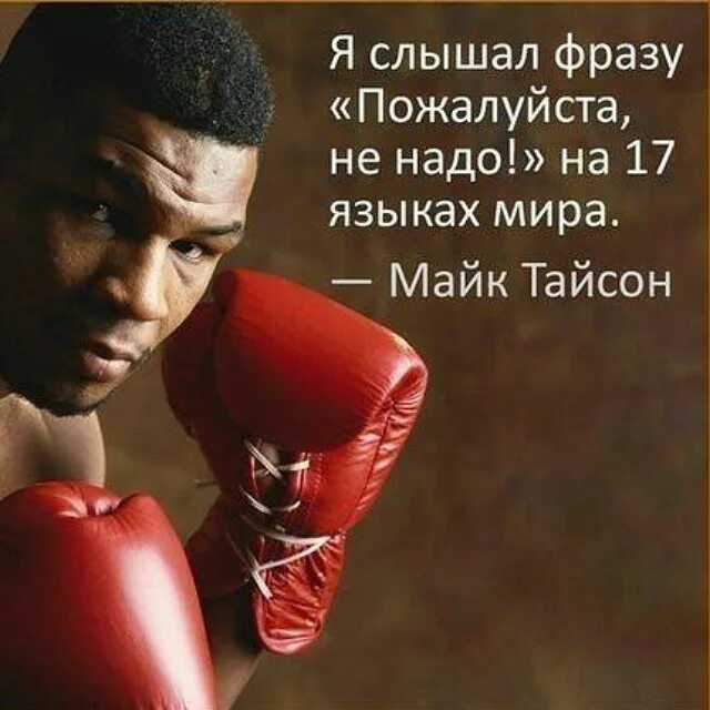 ✅ золотые цитаты про бокс. статусы про бокс - elpaso-antibar.ru