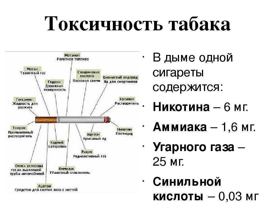 Цитаты про сигареты и любовь. цитаты на тему «дым цитаты про дым и сигареты