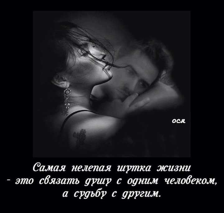 Короткие цитаты про любовь — подборка самых крутых и мощных высказываний о любви