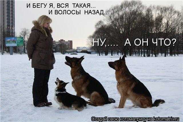 Десять крутых цитат о беге, которые действительно вдохновляют