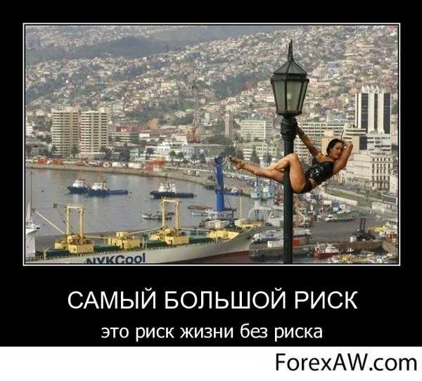 Афоризмы про риск читать | афоризмикс