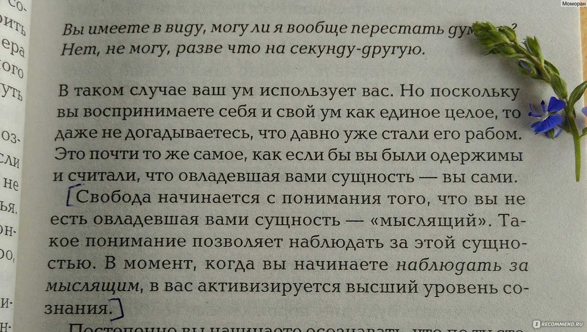 Экхарт толле: цитаты известного немецкого писателя