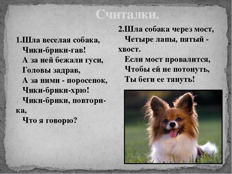 Стихи про собак. детские стихи о собаках   | материнство - беременность, роды, питание, воспитание