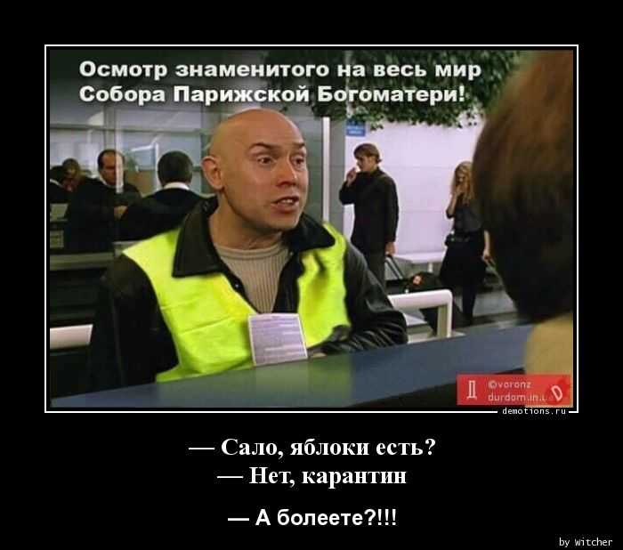 Вот много у тебя денег и что. цитаты из фильма брат