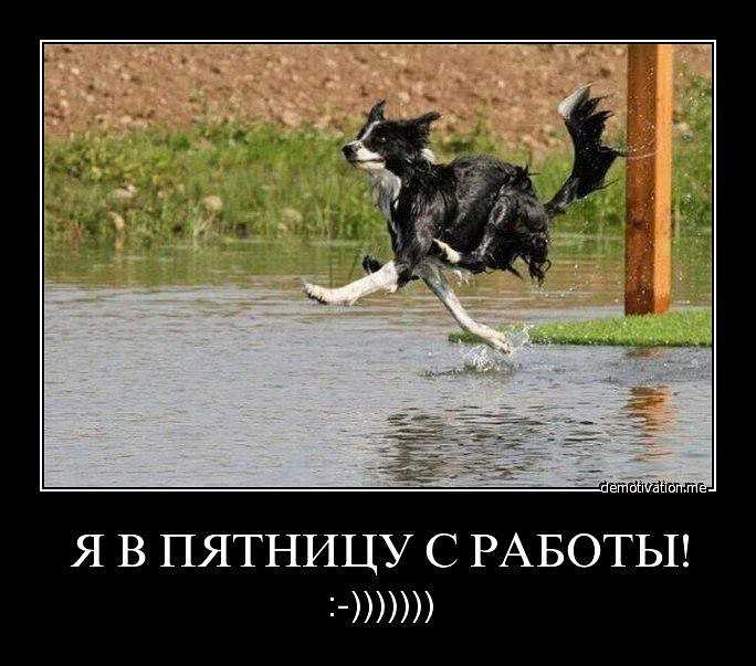 Картинки с приколами про пятницу - шутки и пятничные фото! » 72tv.ru - картинки и открытки, гифки "красивые поздравления"!