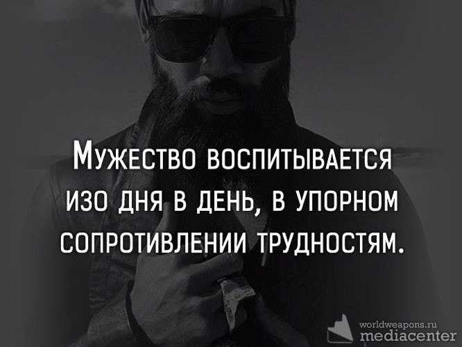50 лучших цитат про учителей – статусы, афоризмы и прочие извечения