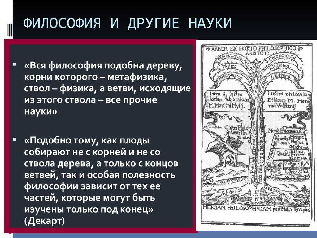 Цитаты про ослика иа