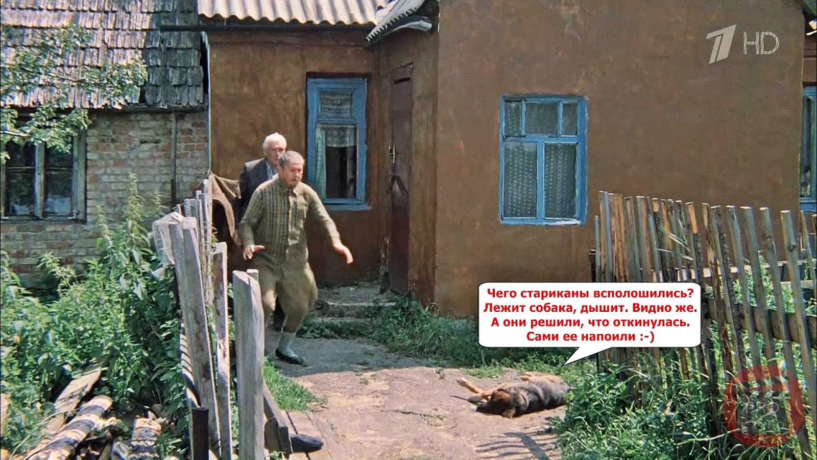 13 цитат из фильма Белые росы Интересные цитаты и высказывания персонажей