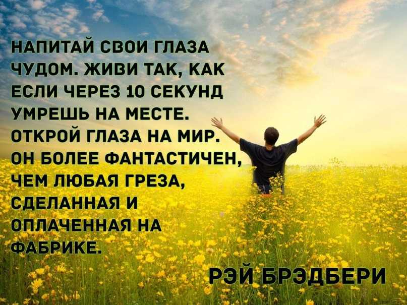 Рэй брэдбери (22 августа 1920 — 5 июня 2012)