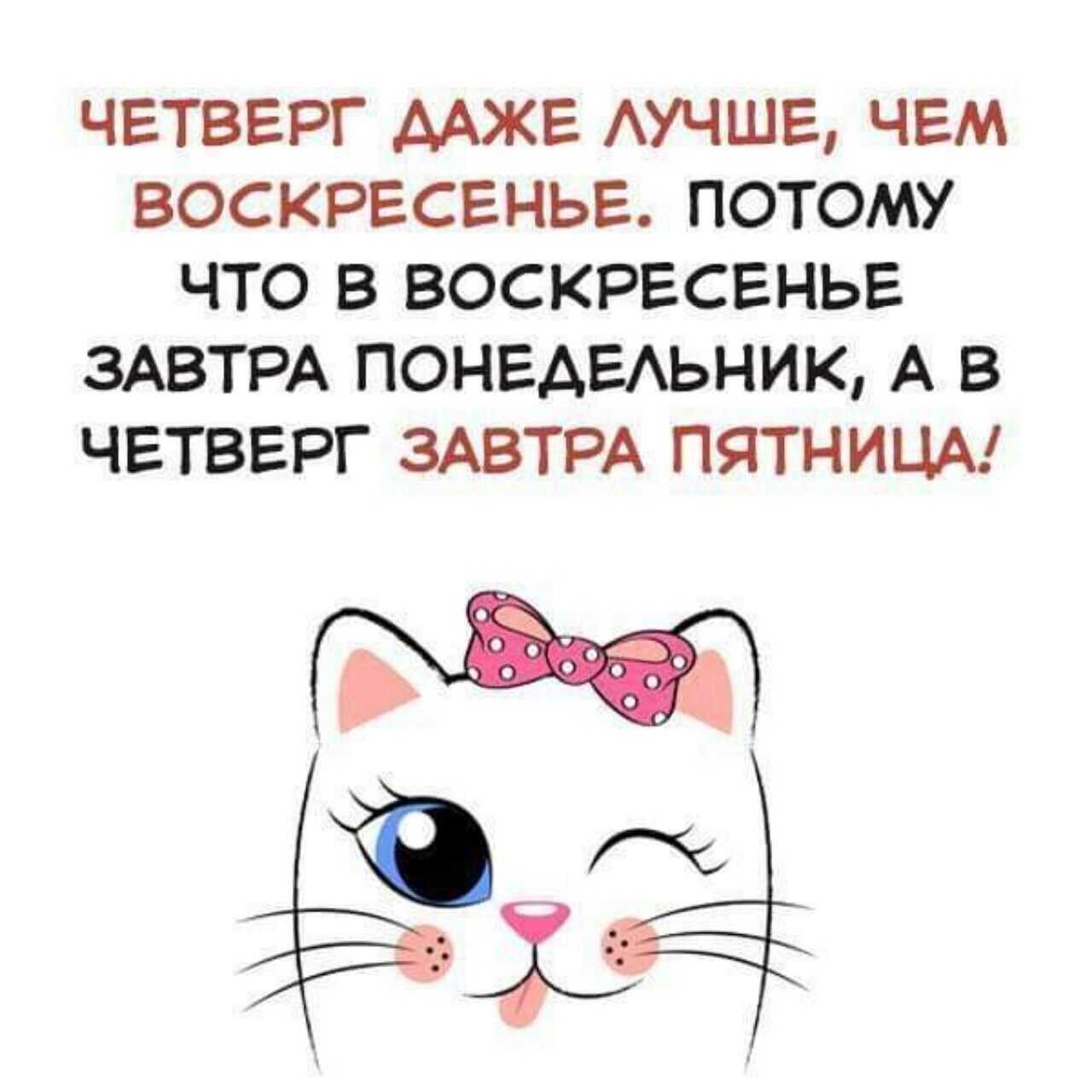Афоризмы про четверг прикольные - clubtravelms.ru