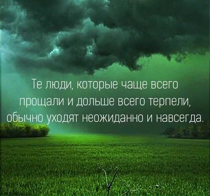 Цитаты про любопытство. высказывания и афоризмы о любопытстве.