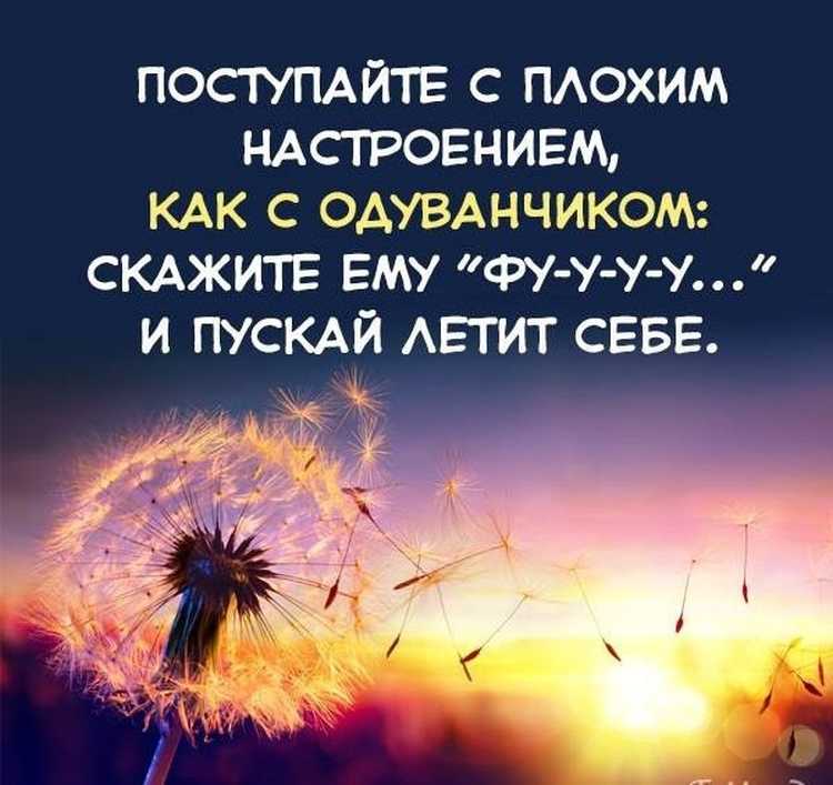 340 фраз, поднимающих настроение и заряжающих позитивом! большая подборка фраз и высказываний, которая поможет не унывать