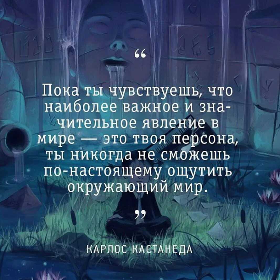 Love is…100 лучших цитат о любви – высказывания великих людей двух столетий