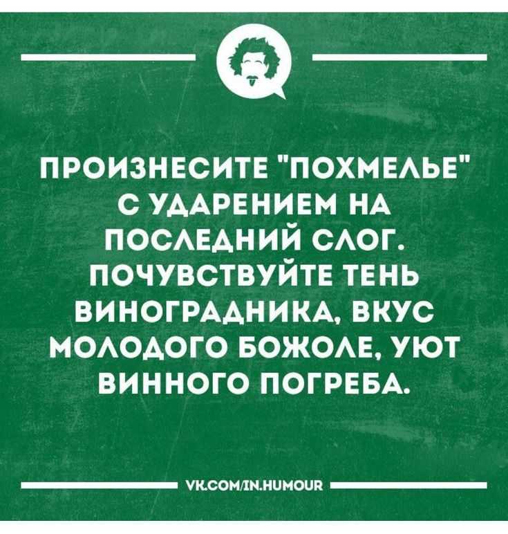 Статусы про пьянку, гулянку. что поставить на статус после пьянки? смешные и веселые статусы.