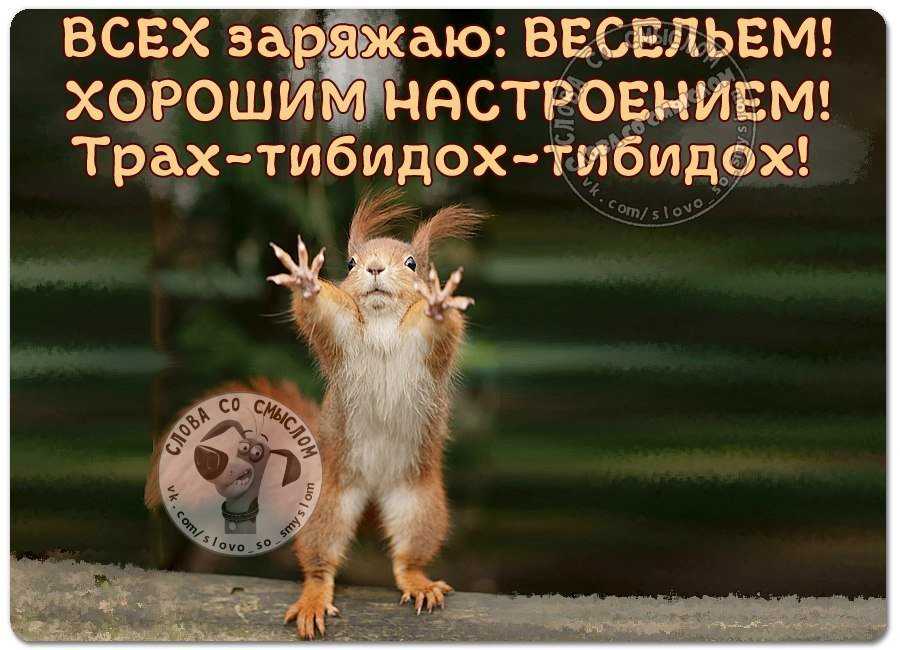 Смех продлевает жизнь: цитаты и афоризмы про смех, юмор и улыбку