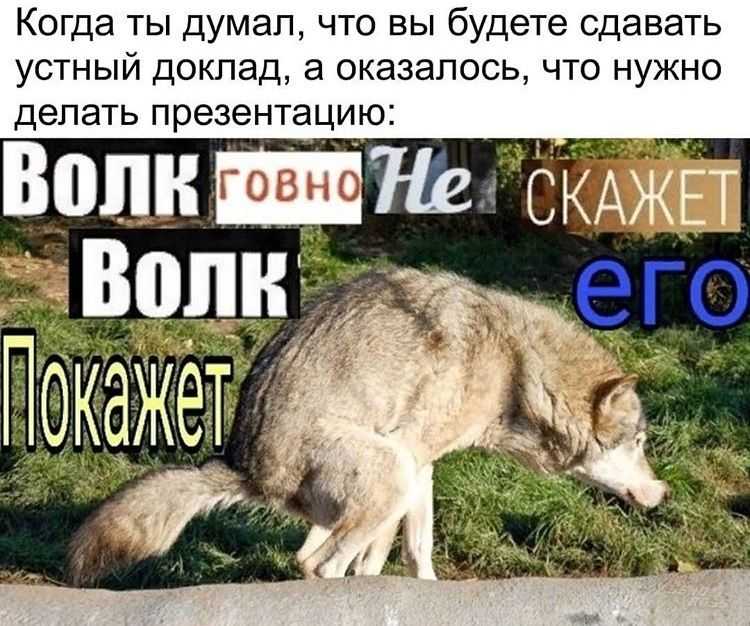 250 лучших вдохновляющих цитат великих людей по категориям - мама, я коуч