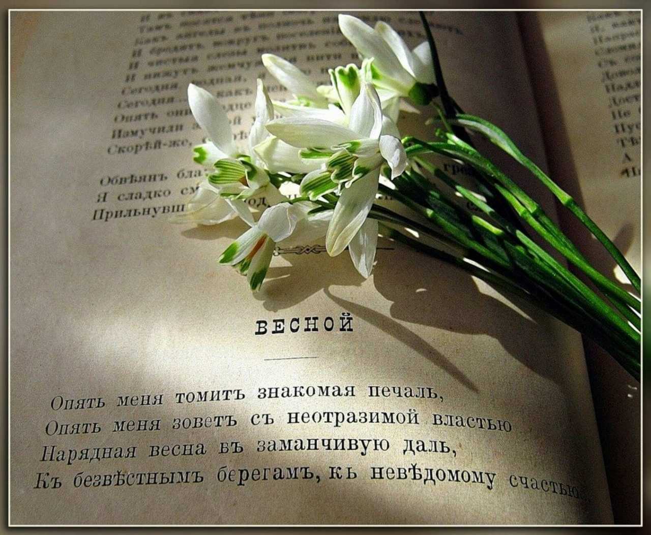 Весеннее настроение в цитатах и афоризмах