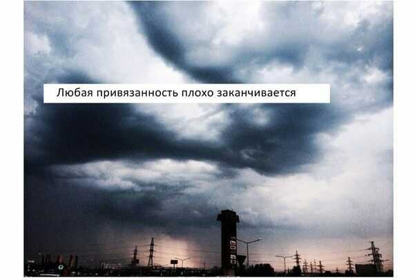Сложные цитаты. статусы со смыслом: умные высказывания о жизни, людях и любви. статусы – современные афоризмы на каждый день