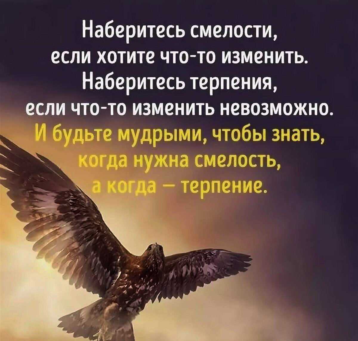 Цитаты на тему смелость, храбрость Подборка цитат со смыслом из книг, фильмов, песен и сериалов, афоризмы великих людей Вдохновляйтесь цитатами, добавляйте их в статус и под фото, делитесь с друзьями
