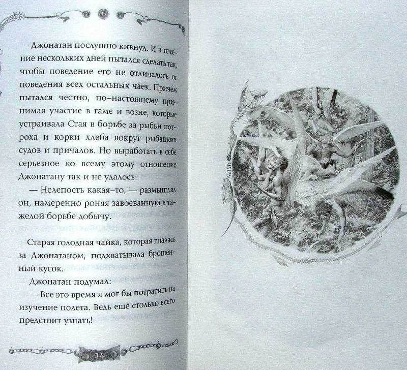 49 цитат из книги Чайка по имени Джонатан Ливингстон Ричард Бах
