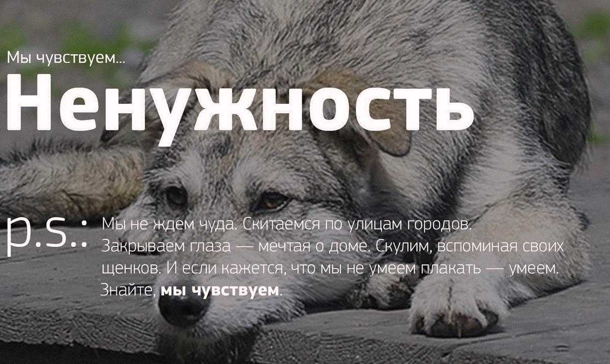 Одинокими мы делаем себя сами. цитаты и афоризмы про одиночество