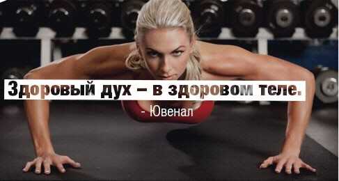 Приколы про здоровый образ жизни. анекдоты про здоровый образ жизни
