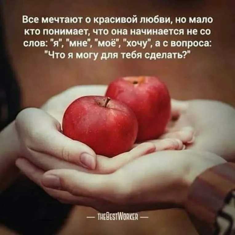 Афоризмы про жестокость людей к животным
