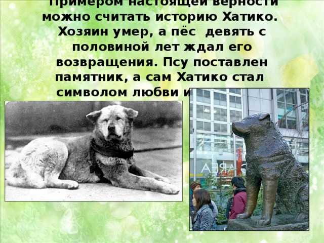 Хатико: самый верный друг/hachiko: a dog's story (2009)