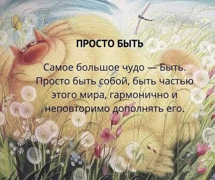 Комментарии о себе красивые. афоризмы о себе любимой, цитаты, высказывания про себя любимую