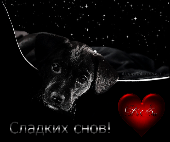 Открытки: спокойной ночи (50 картинок)