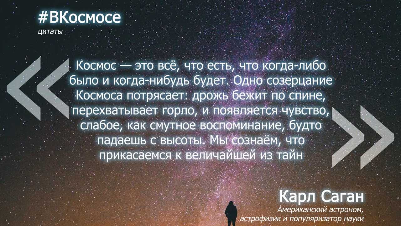 Высказывания про полет на самолете и небо. летчик о летчиках. крылатые выражения. " …будь королевым в своем деле