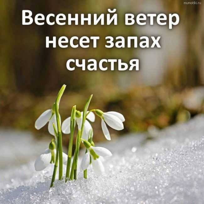 250 лучших вдохновляющих цитат великих людей по категориям - мама, я коуч