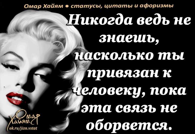 Более 500 цитат для instagram: топ самых лучших