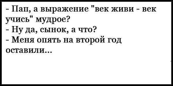 Смешные анекдоты для детей про школу