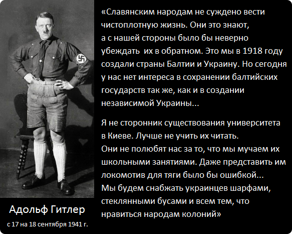 Кто на самом деле написал "майн кампф": исторические факты и расследование