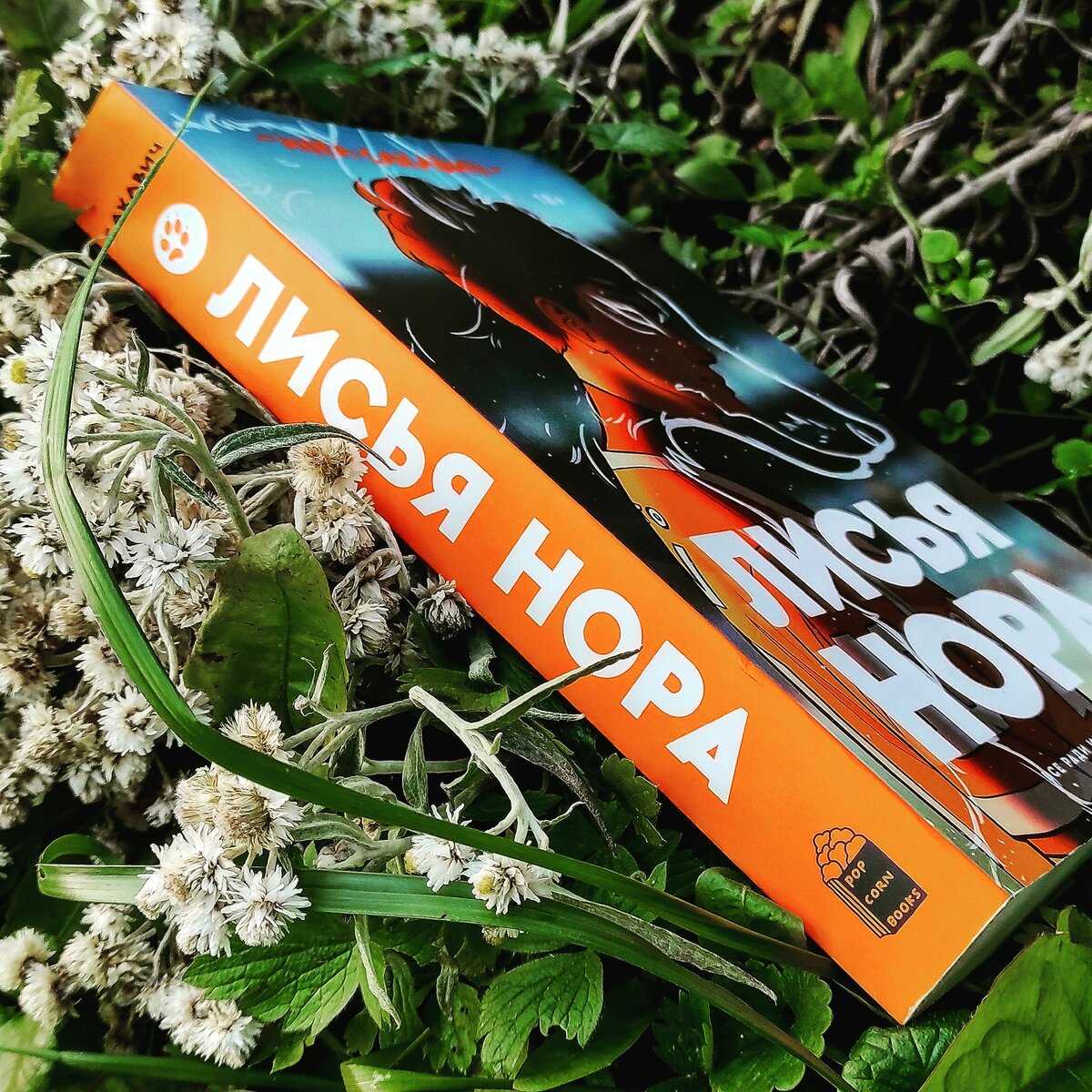 Книга лисья нора читать онлайн бесплатно, автор нора сакавич – fictionbook