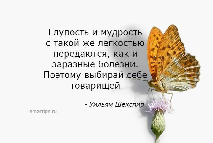 Статусы про тупых – с саркастическим юмором, со смыслом