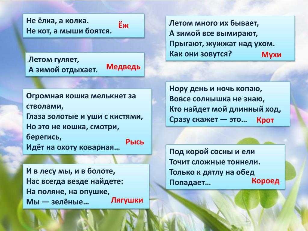 Загадки о природных явлениях