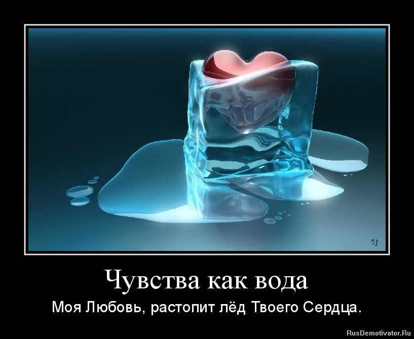 50 лучших цитат со всего мира для жизни со смыслом