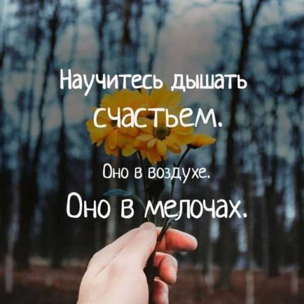 Цитаты - что это такое? правила и примеры цитирования