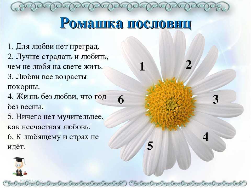 На верхушке стебелька солнышко и облака. загадки для детей про ромашку