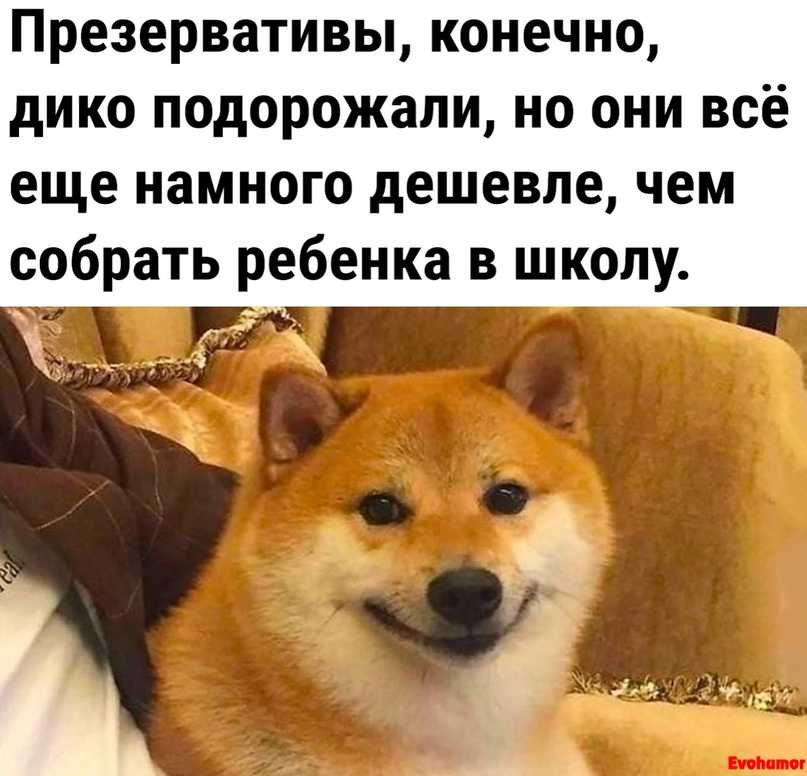 20 смеха и юмора: прикольные картинки про директора, которые могут спасти ваш рабочий день