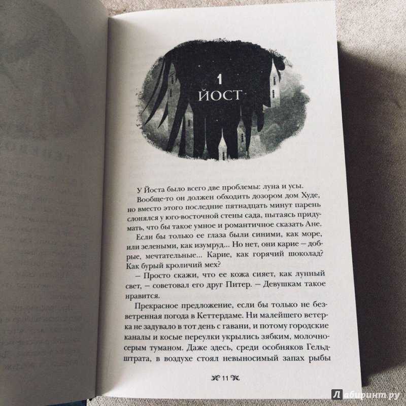 Шестерка воронов - читать онлайн бесплатно полную версию книги или скачать в формате fb2 (ли  бардуго)